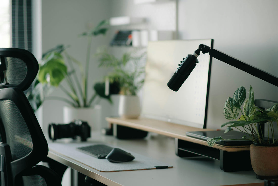 10 Best Plants for Your Home Office: From Easy-to-Care to High-Impact Beauties