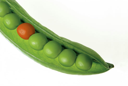 Plants vs Zombies Characters in Real Life: Can You Grow Them at Home?