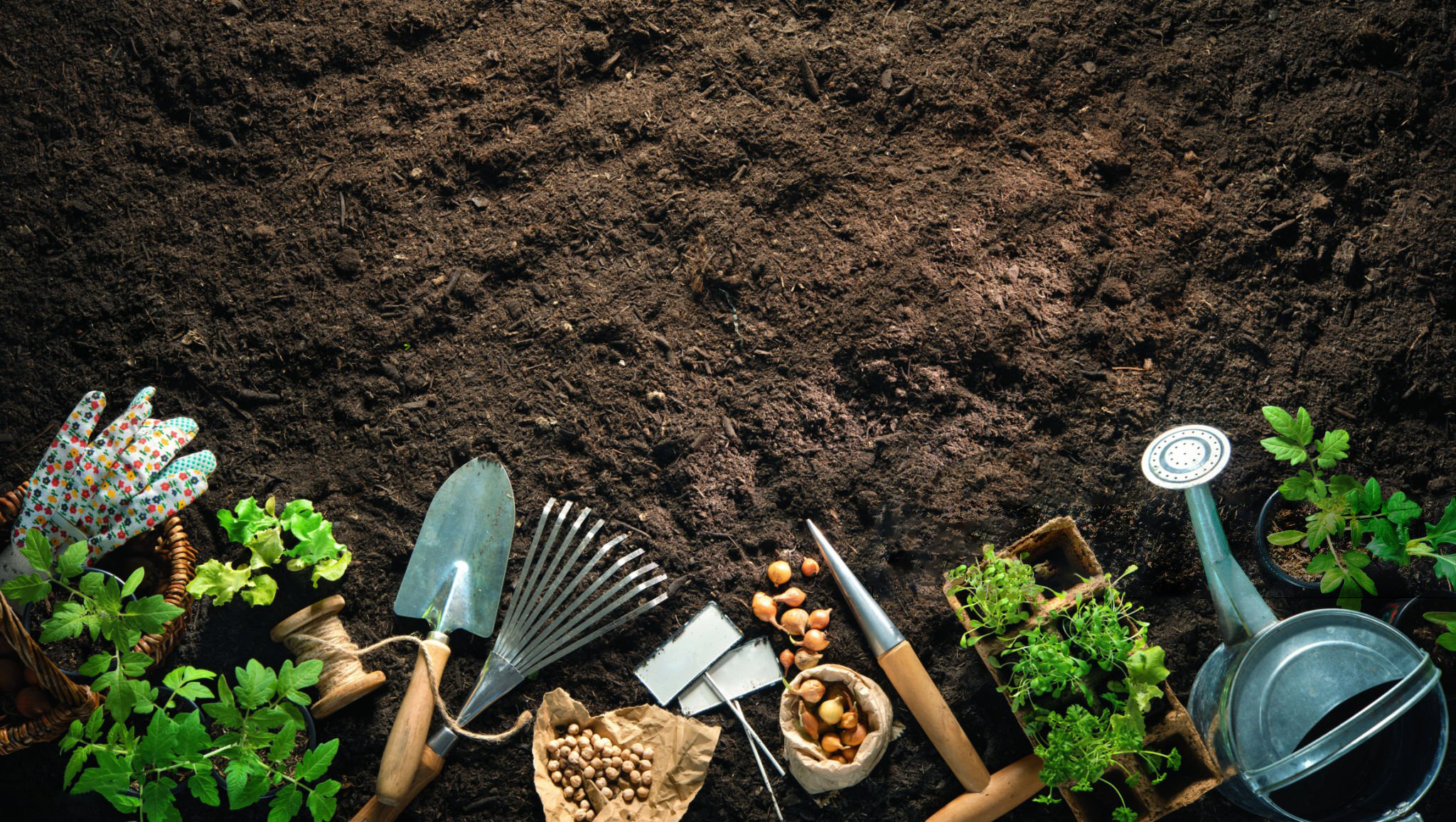 10 Tips to Prepare Your Garden for Spring 2026(A Month-by-Month Guide ...